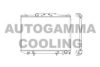 AUTOGAMMA 102373 Radiator, engine cooling